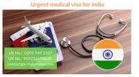 E-Indian Visa image 8